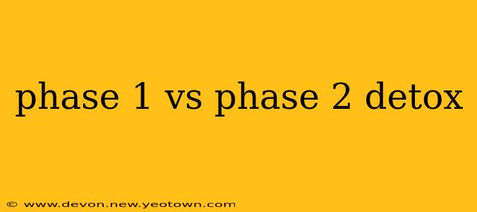 phase 1 vs phase 2 detox