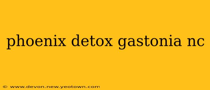 phoenix detox gastonia nc