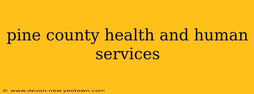 pine county health and human services