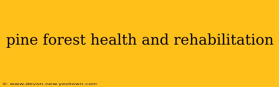 pine forest health and rehabilitation