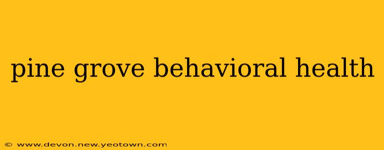 pine grove behavioral health