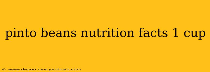 pinto beans nutrition facts 1 cup