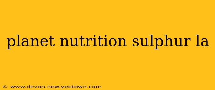 planet nutrition sulphur la