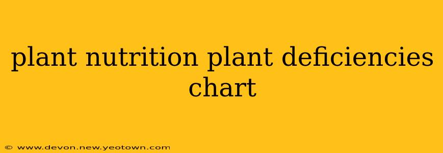 plant nutrition plant deficiencies chart