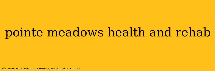 pointe meadows health and rehab