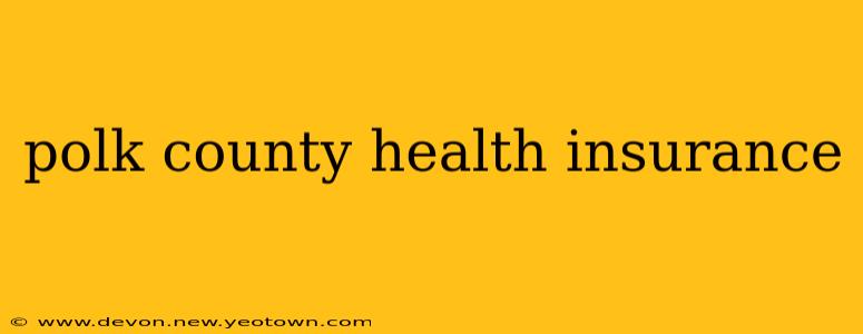 polk county health insurance