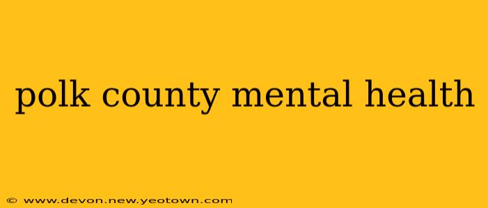 polk county mental health