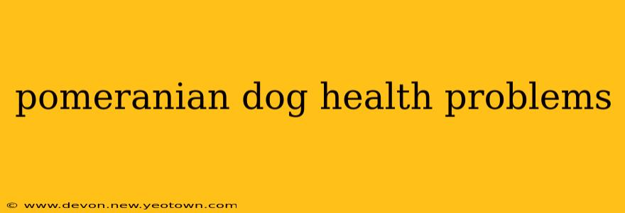 pomeranian dog health problems