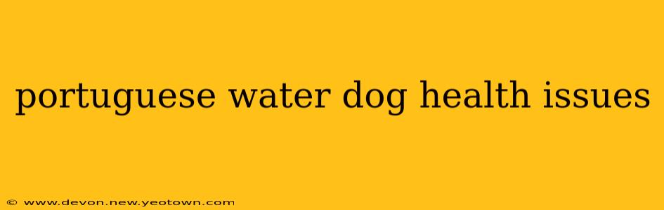 portuguese water dog health issues
