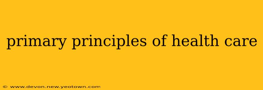 primary principles of health care