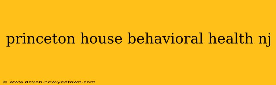 princeton house behavioral health nj