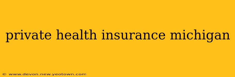 private health insurance michigan