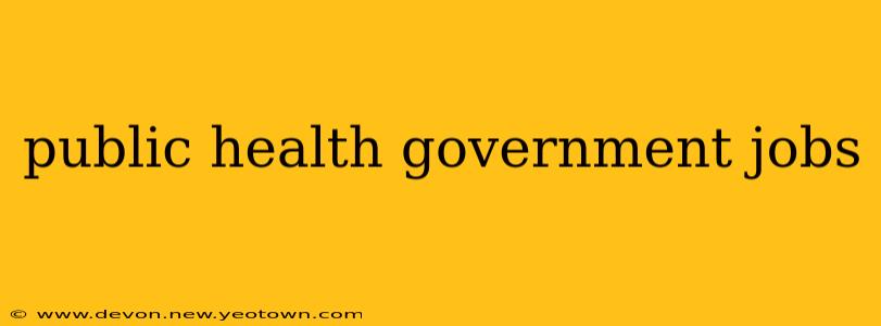 public health government jobs