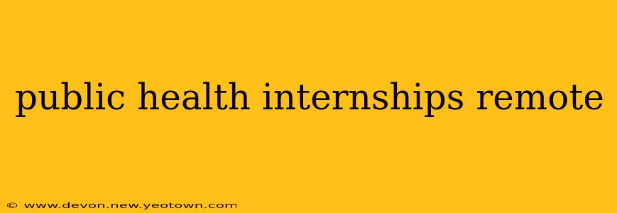 public health internships remote