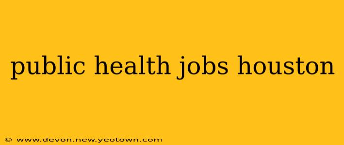public health jobs houston