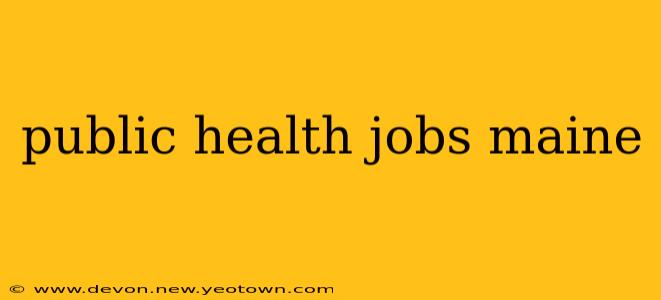 public health jobs maine