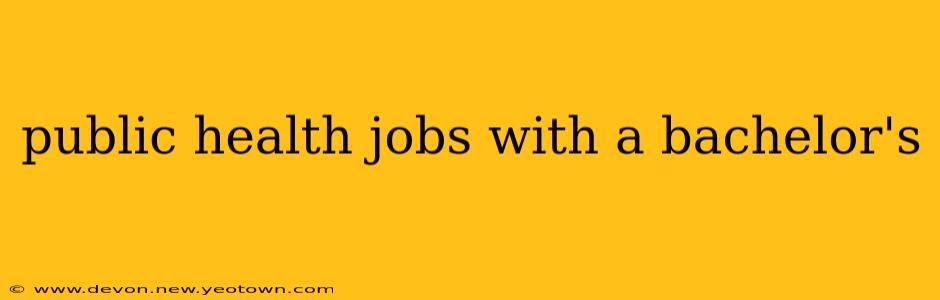 public health jobs with a bachelor's
