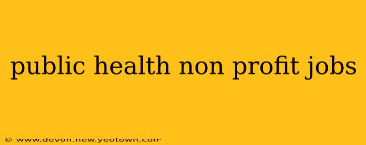 public health non profit jobs