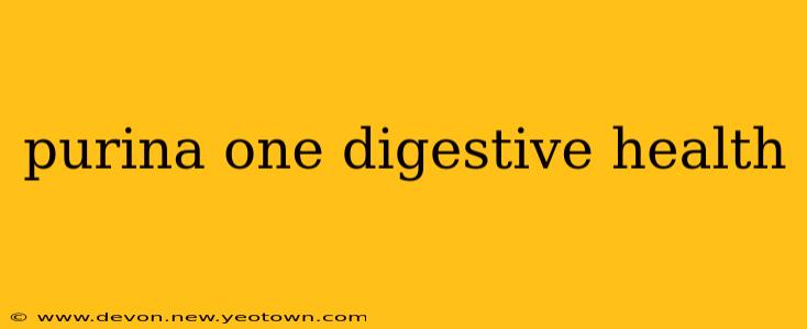 purina one digestive health