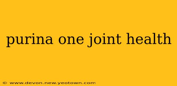 purina one joint health