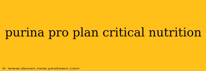 purina pro plan critical nutrition