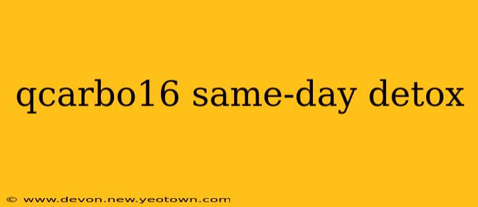 qcarbo16 same-day detox