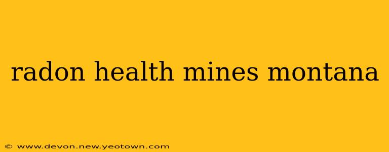 radon health mines montana