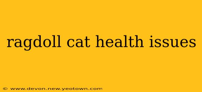 ragdoll cat health issues