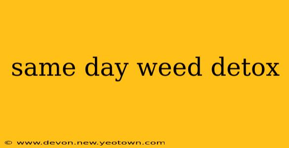 same day weed detox