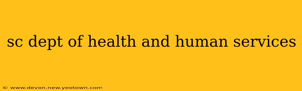 sc dept of health and human services