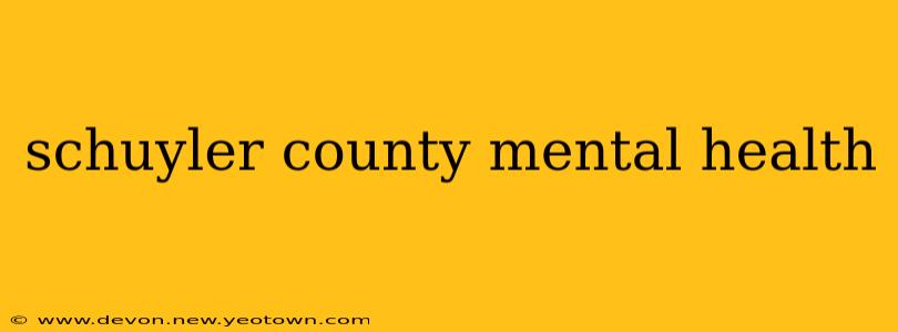 schuyler county mental health