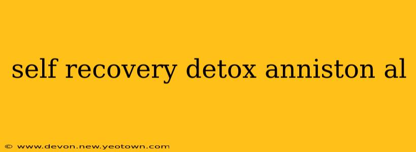 self recovery detox anniston al