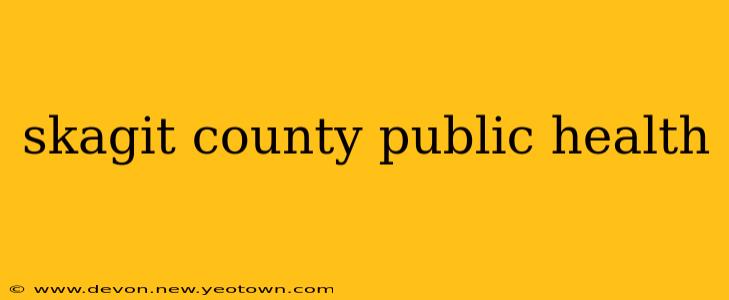 skagit county public health