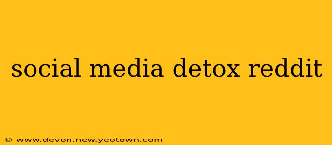 social media detox reddit