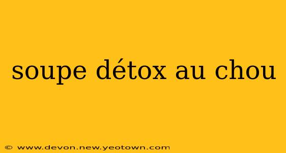 soupe détox au chou