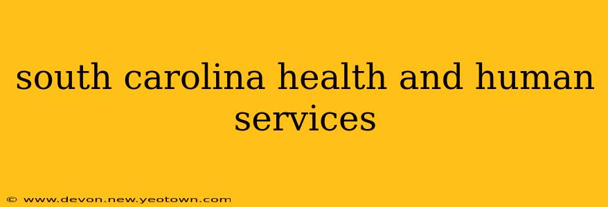 south carolina health and human services