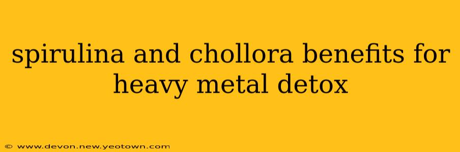 spirulina and chollora benefits for heavy metal detox