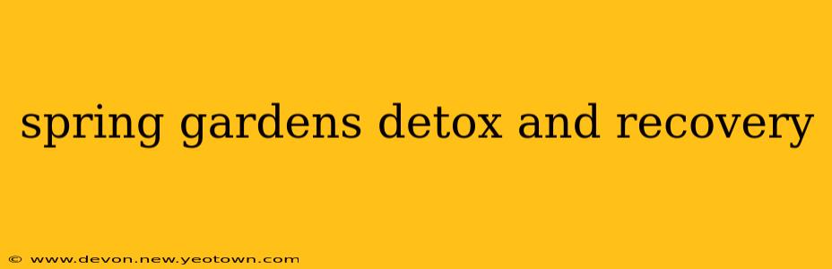 spring gardens detox and recovery