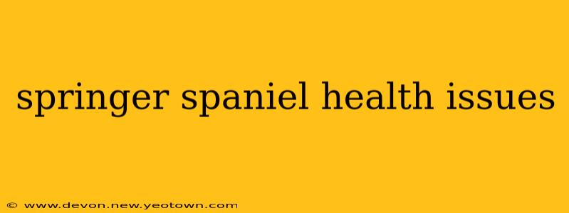 springer spaniel health issues
