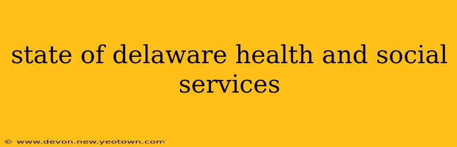 state of delaware health and social services