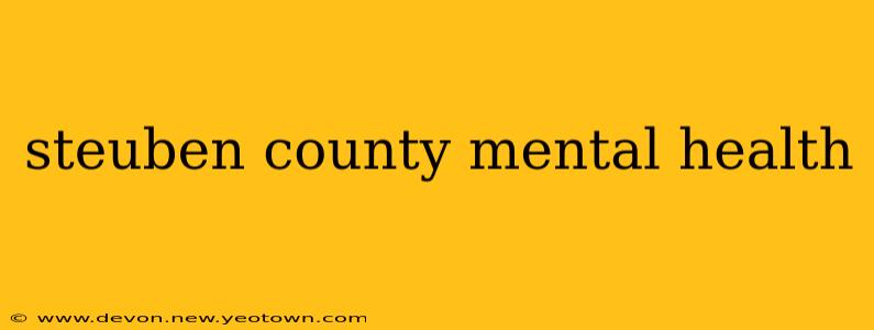 steuben county mental health