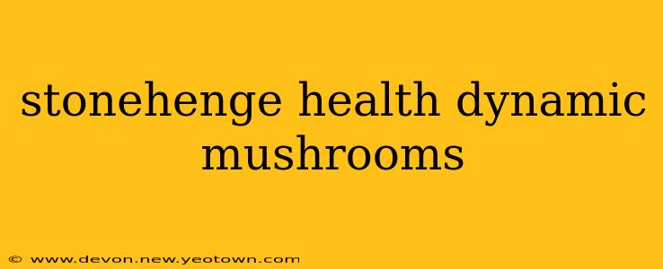 stonehenge health dynamic mushrooms