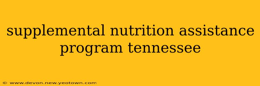 supplemental nutrition assistance program tennessee
