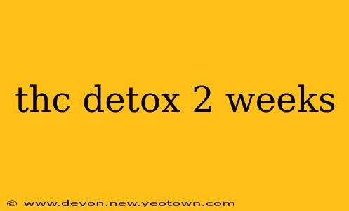thc detox 2 weeks