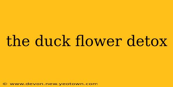 the duck flower detox