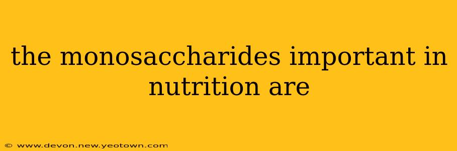 the monosaccharides important in nutrition are
