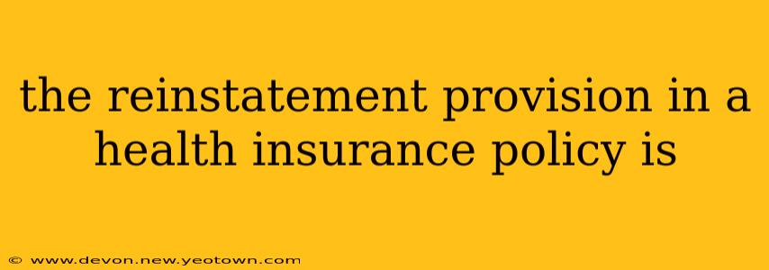 the reinstatement provision in a health insurance policy is