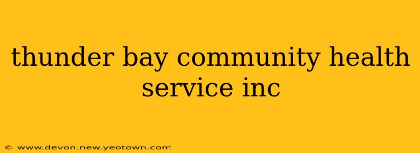 thunder bay community health service inc