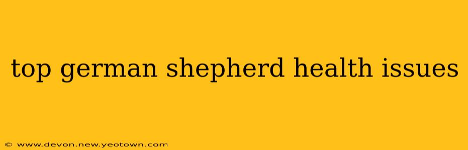 top german shepherd health issues