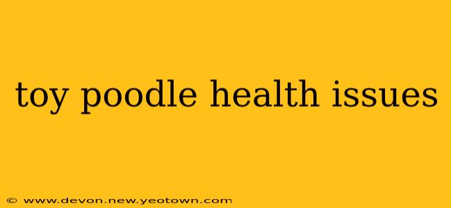 toy poodle health issues
